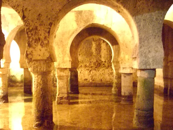 S. XII