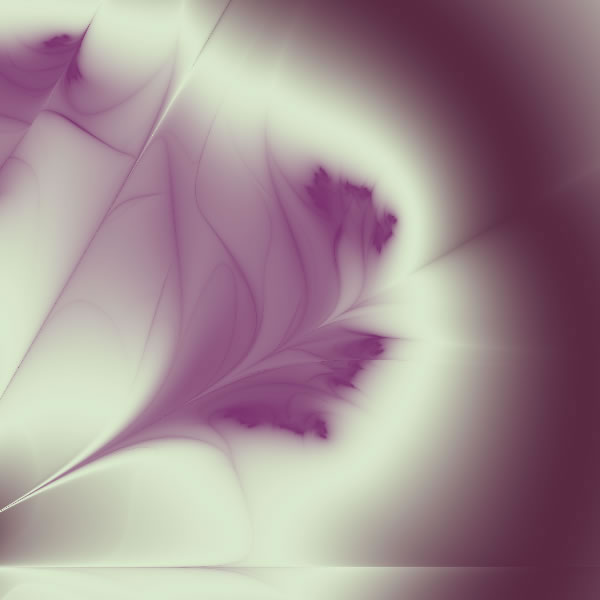 Purple Flower