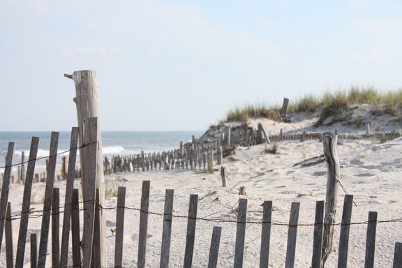 The Dunes