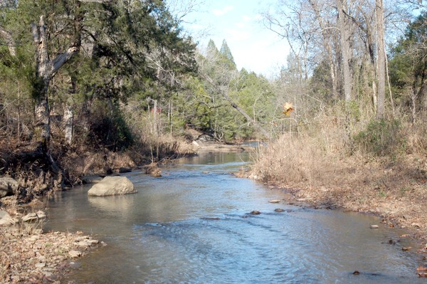 Mtn. creek