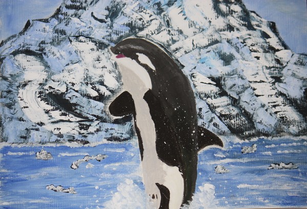 killer-whale