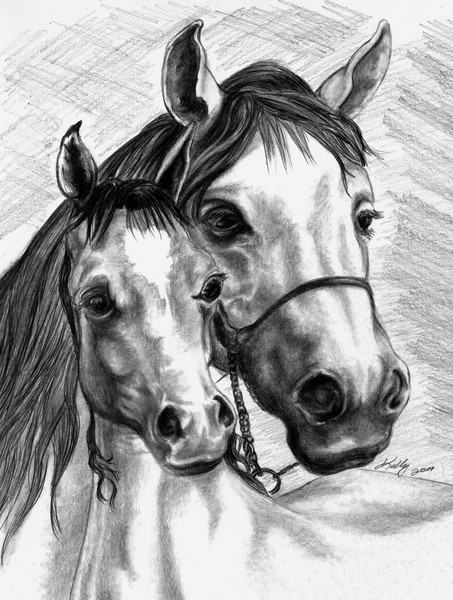 Horses