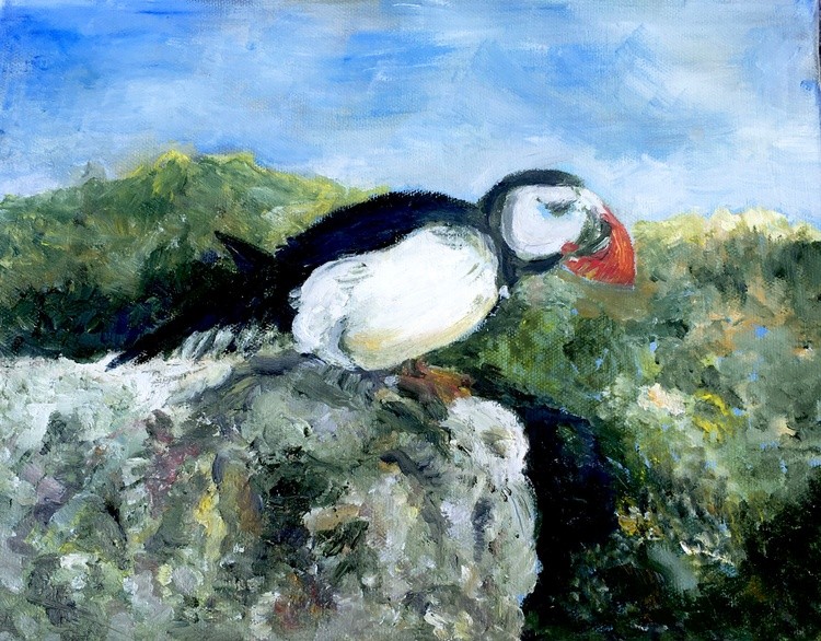 Puffin