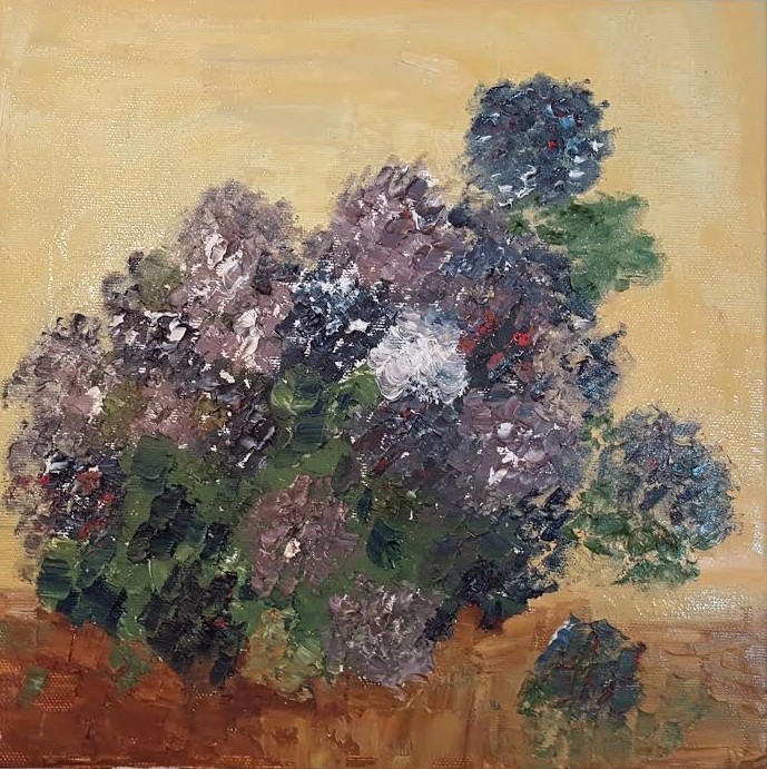 Geranium, 2016