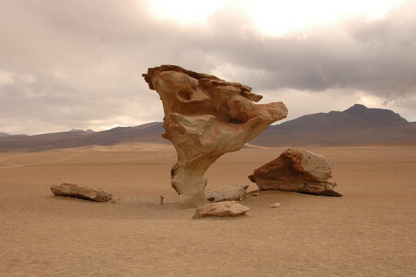 tree of stone