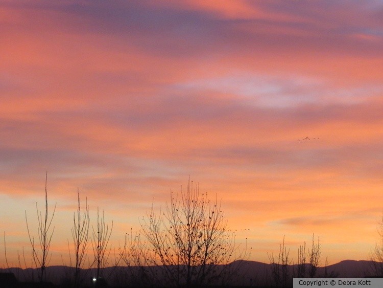 Sunset