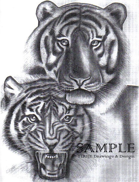 TIGERS