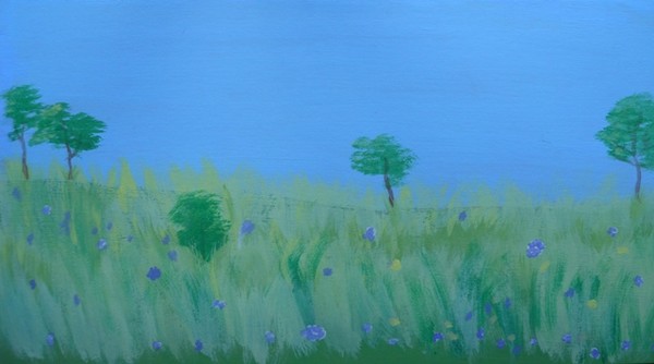 Grassy Meadow