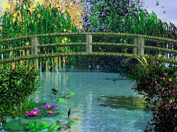 Imagen 01 (homenaje a Monet)