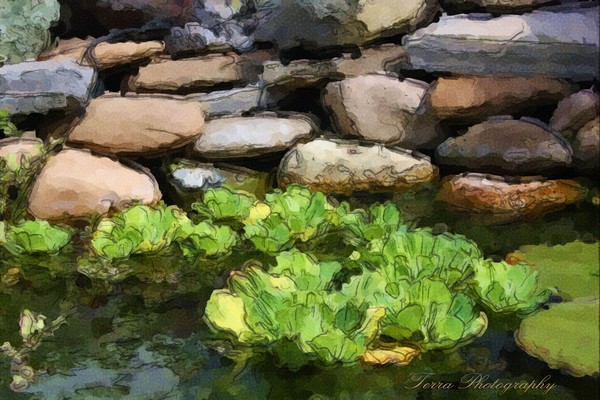 Contrasts - Watercolor Sketch