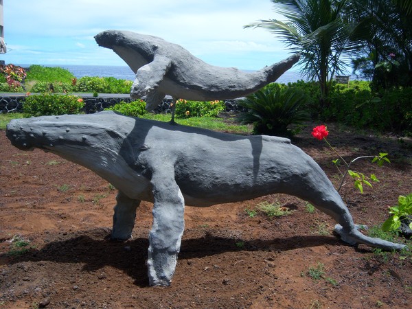 whales