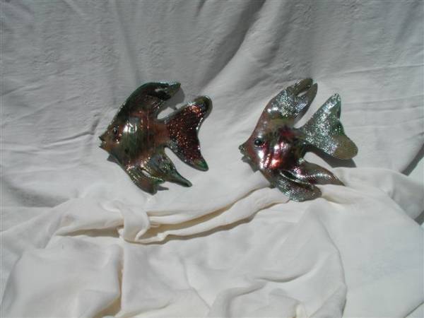 Raku fish