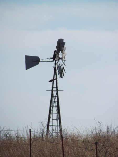 the watcher