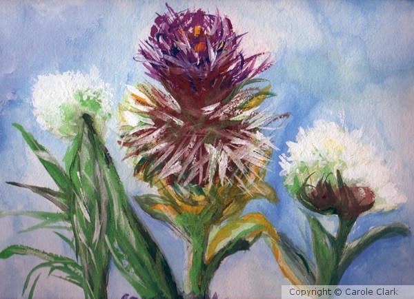 Scottish Thistle