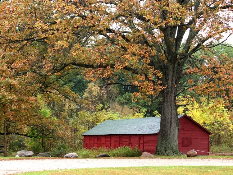 Scenic barn