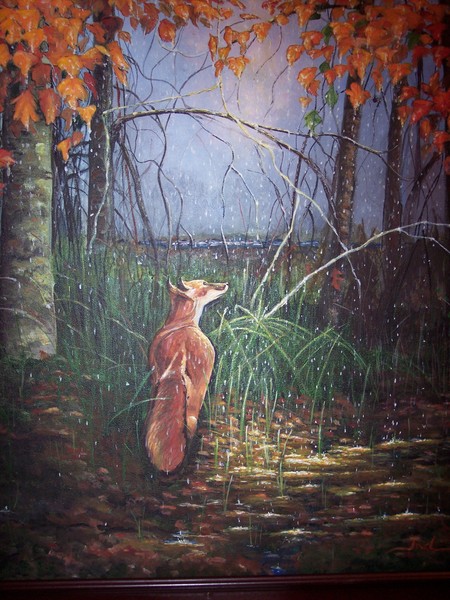 A walk in the woods