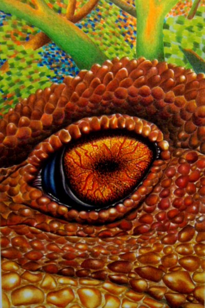 Tatuara