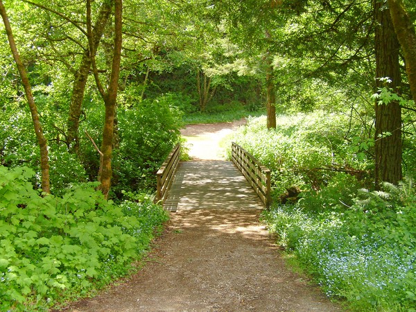The Bridge To Beyond...