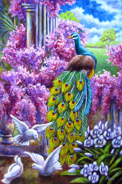 Peacock in Dreamland