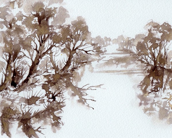 Trees by a River
