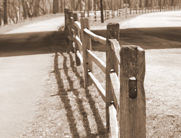 Wood Fence