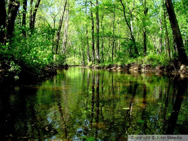 Serene Stream Dreams 1856