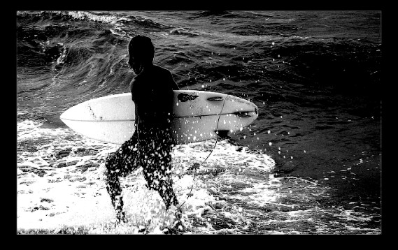 The Surfer