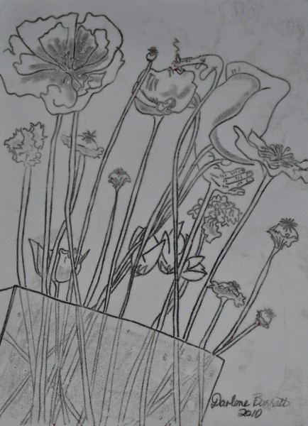 poppys