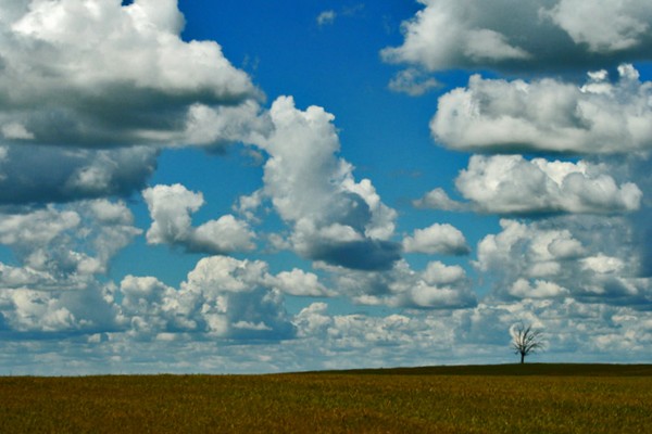 Alentejo 
