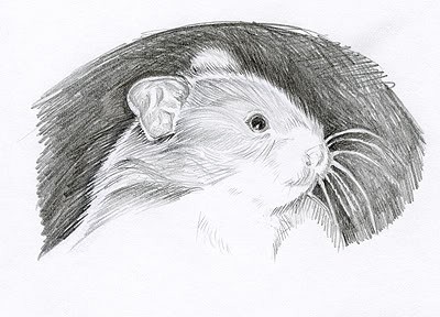 Hamster