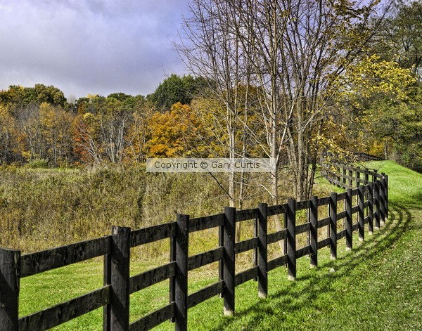 Fence with Autumn Foliage