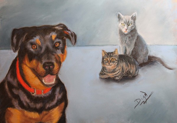 Sadie and Friends