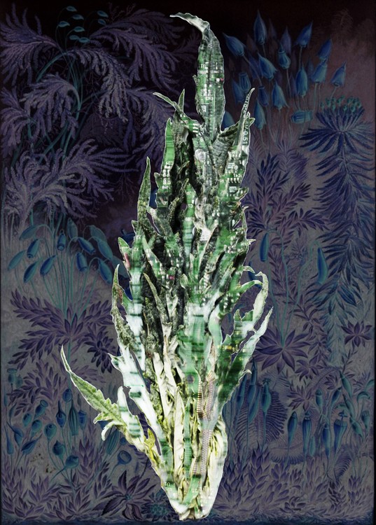 Amalgamated Fragmentation / Plastisphere-Plant 1