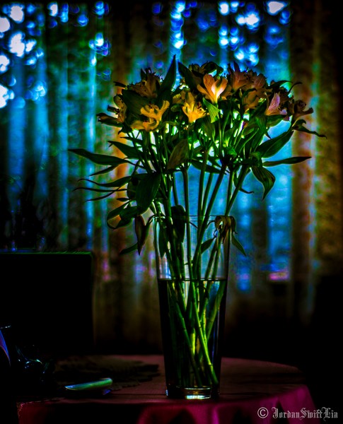 Flowers 001