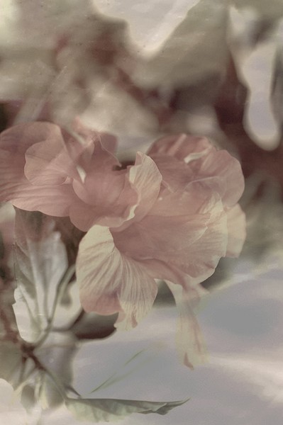 hint of fragrance