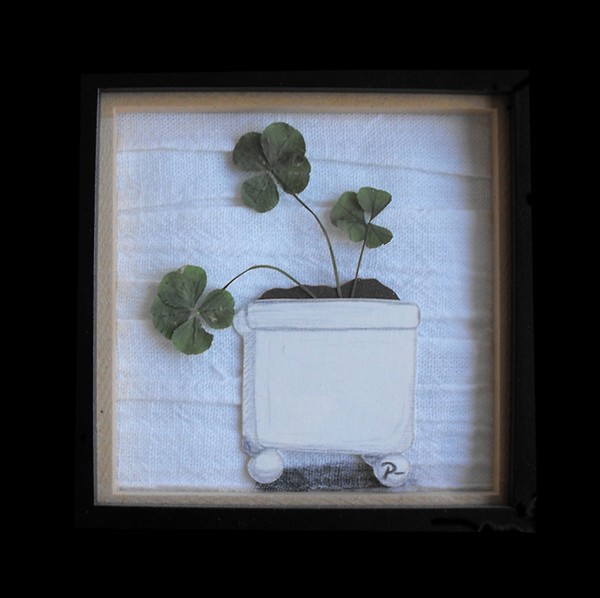 clovers