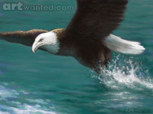 BIRD IN FLIGHT