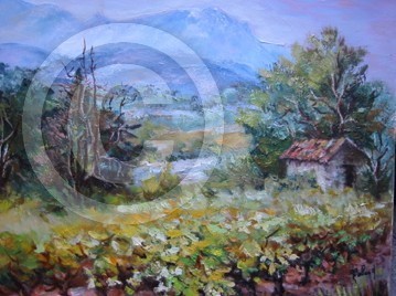 Petit Mas dans les vignes Provence