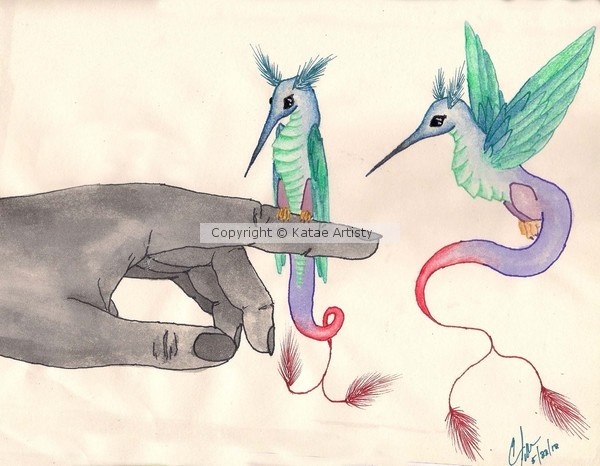 Hummingbird Dragons
