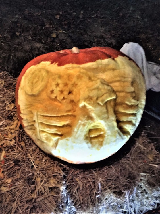 Heal Our Land 2017 Pumpkin