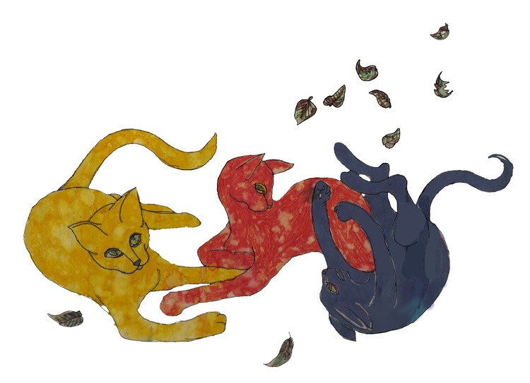 ETCH CATS SUNNYMEAD
