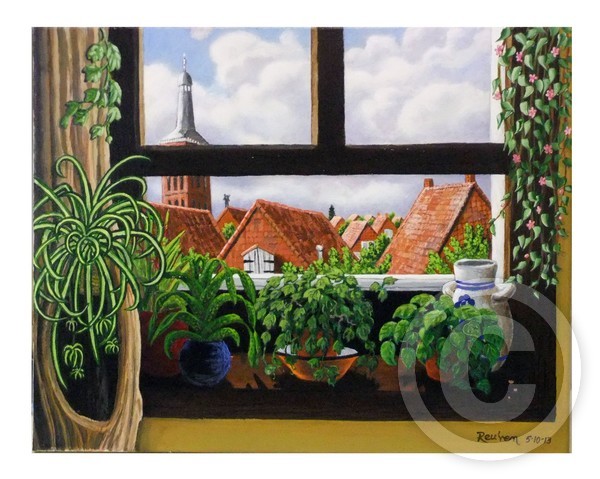 View from Dinys window in Hasselt,Netherlands 1973