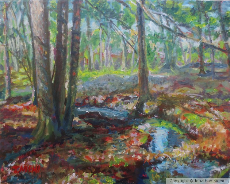 Woodland Stream