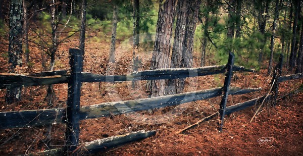 StillStanding