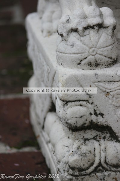 Foo Dog paw