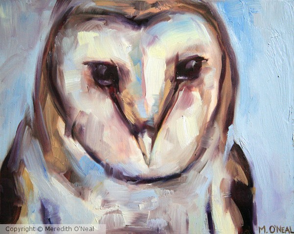 Wise Eyes