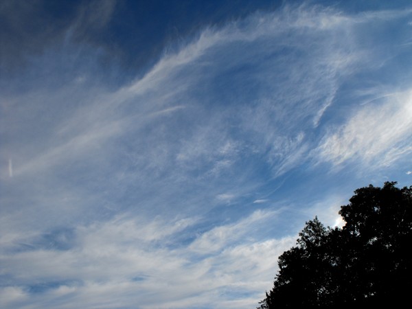 wispy clouds