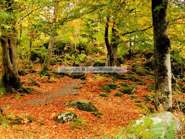 Gamlehaugen park
