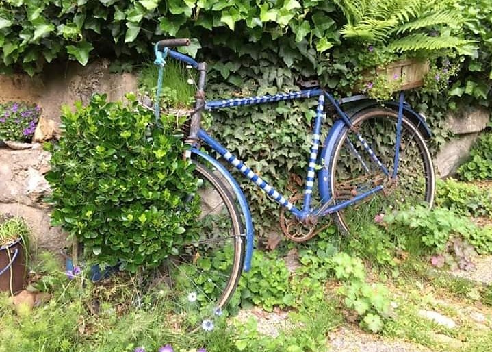 RECYCLING IN A GARDEN ...