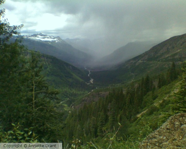 Rain in Glacier Park